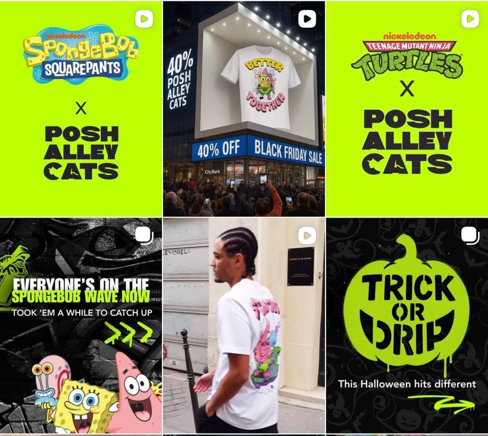 Posh Alley Cats — Instagram feed we designed