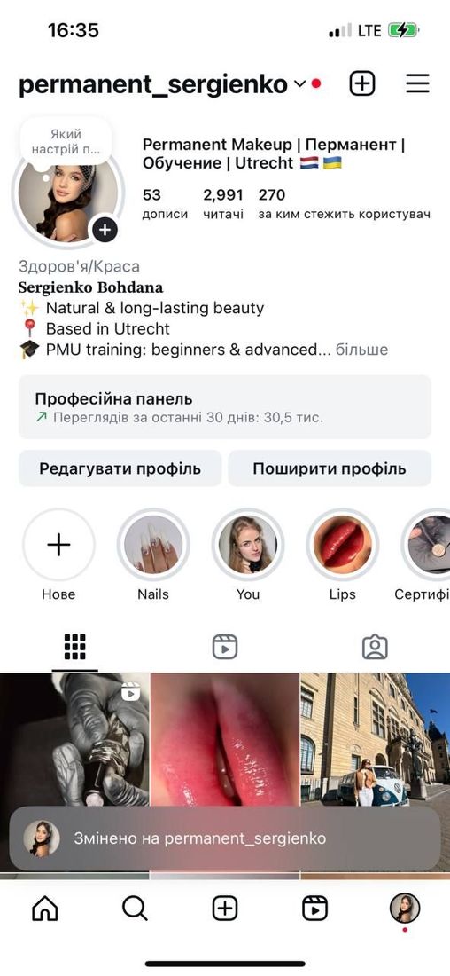 Permanent Sergienko — Instagram profile and feed we built